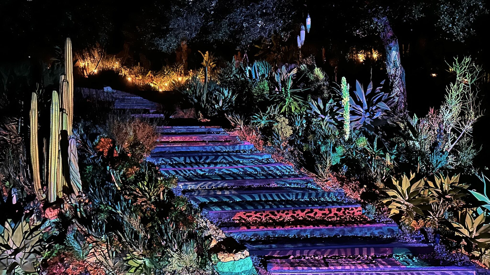 Beautifully illuminated gardens with curated landscape lighting at the Calabasas retreat.